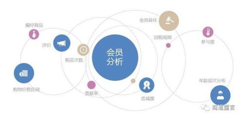 创新引擎 驱动企业数字化转型与网络技术服务的核心动力